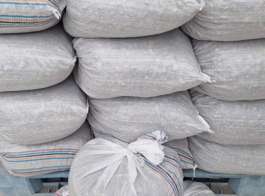 line_oa_chat_260316_102335